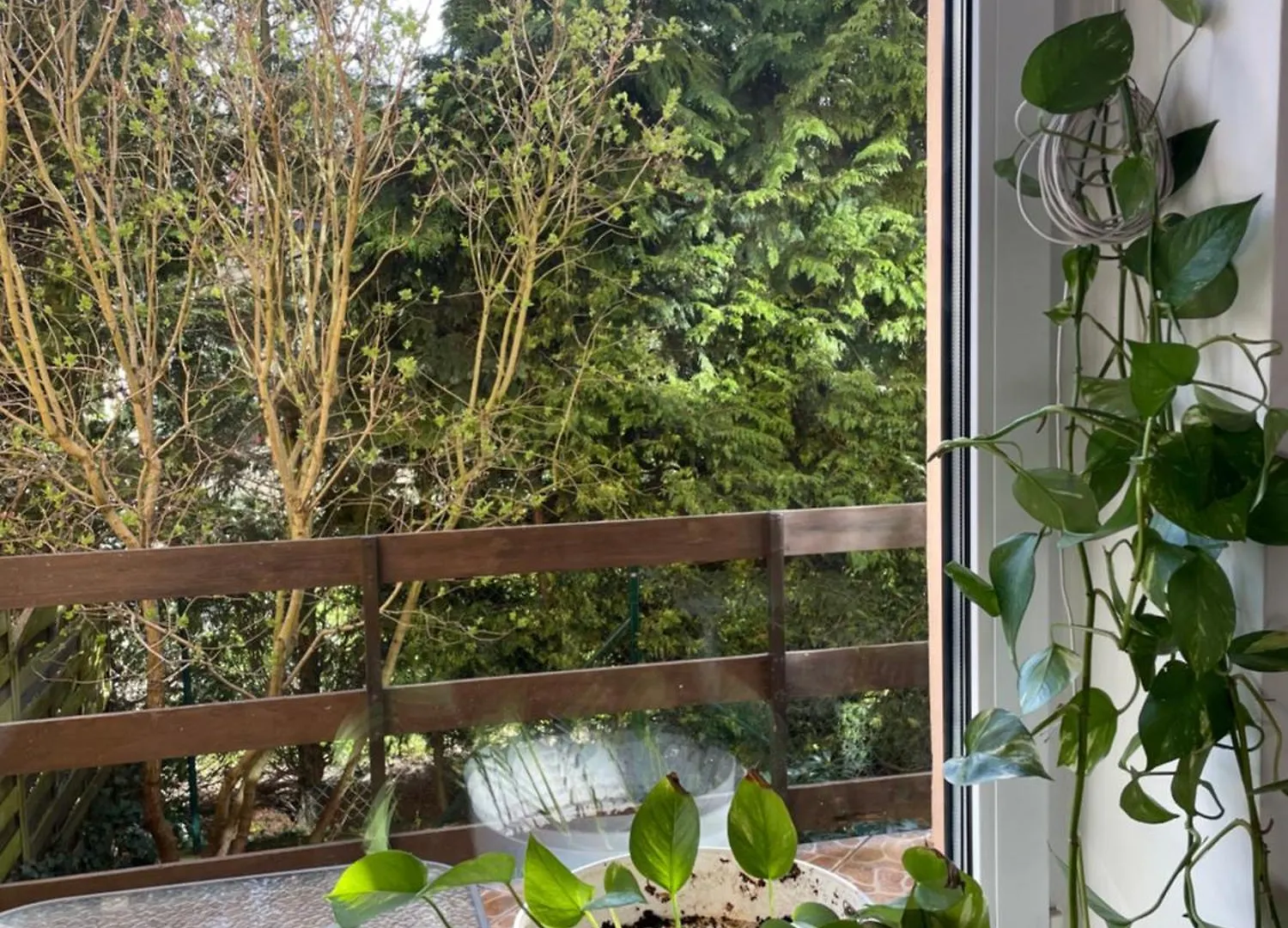 Apartament Airport Danzica